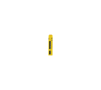 PNOZ c2 24VDC 2n/o, 710002 Pilz